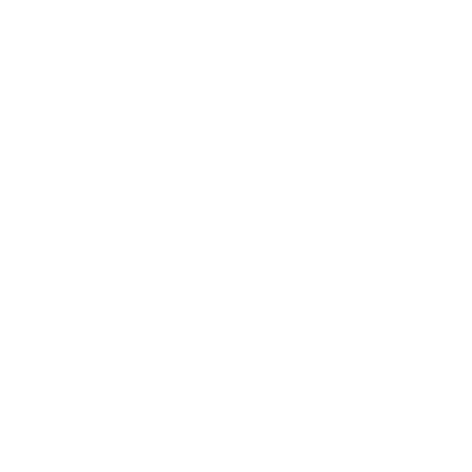 WordPress Logotype White