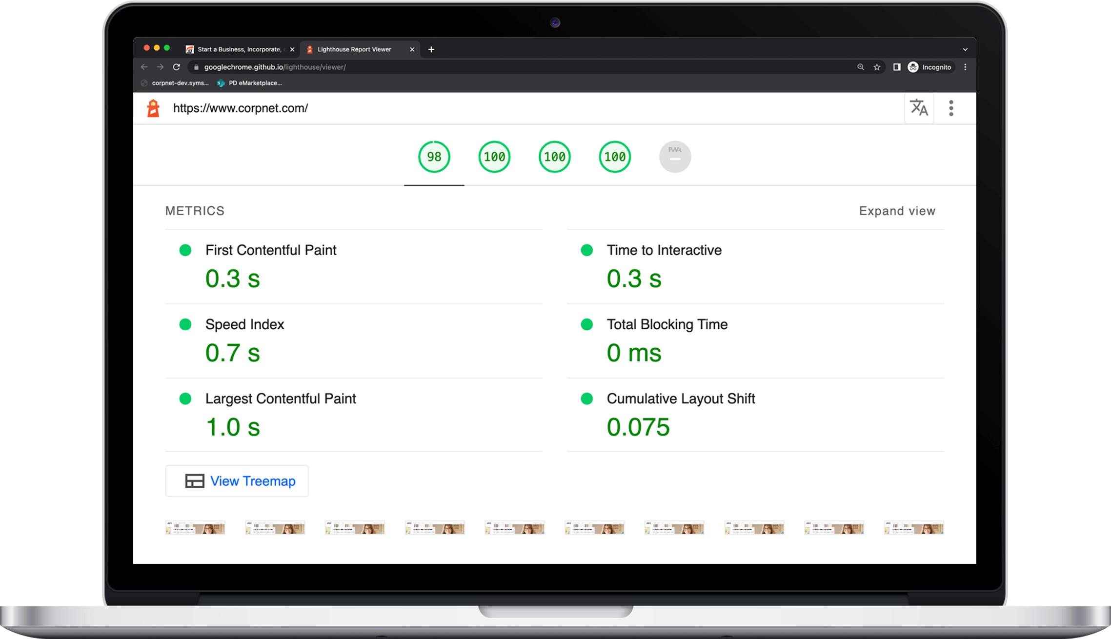 CorpNet Google Lighthouse report.